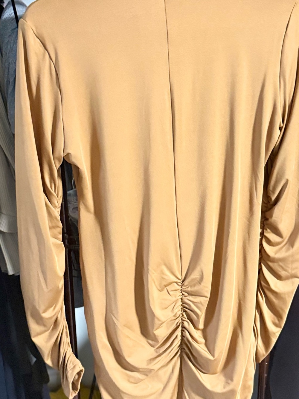 Leau Long Sleeve Ruched Button-Front Dark Tan Dress - Picture 4 of 4